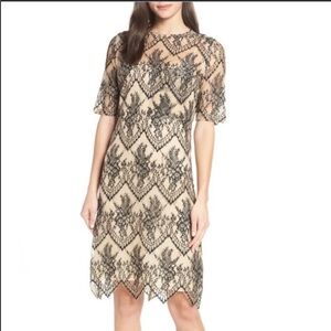 COPY - NWT-CAARA-SCALLOPED HEM LACE SHEATH DRESS …